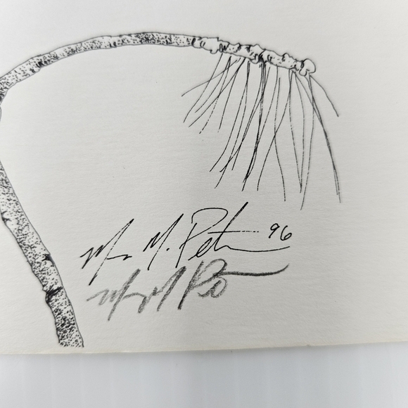 Harris Hawk Bird Art Prints Numbered & Artist Signed Wildlife Set Of 3 - Picture 10 of 16